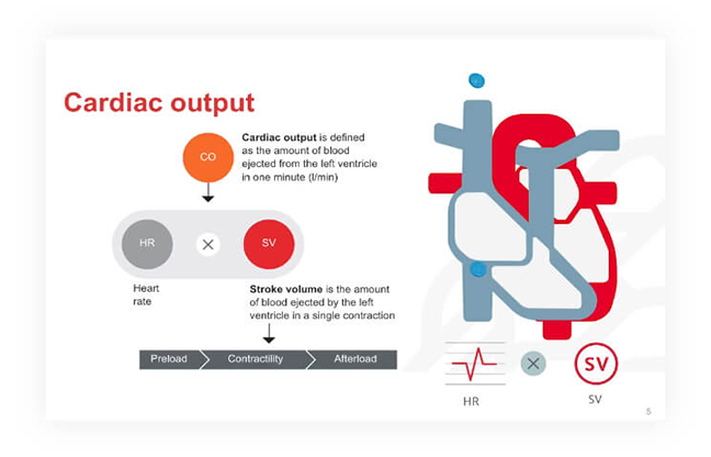 Cardiovascular physiology